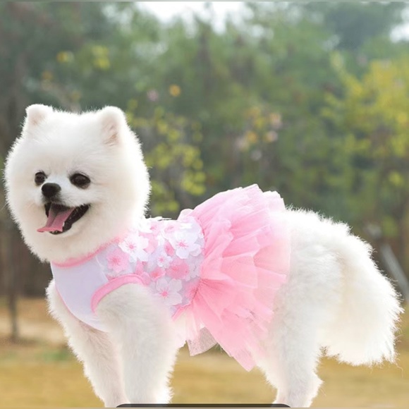 Other - New size medium pink dog dress
